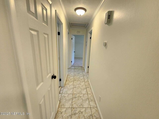 8514 Concord Ct, Jacksonville, FL 32208 - photo 16