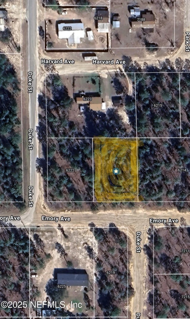 6218 Emory Ave, Keystone Heights, FL 32656 - photo 2