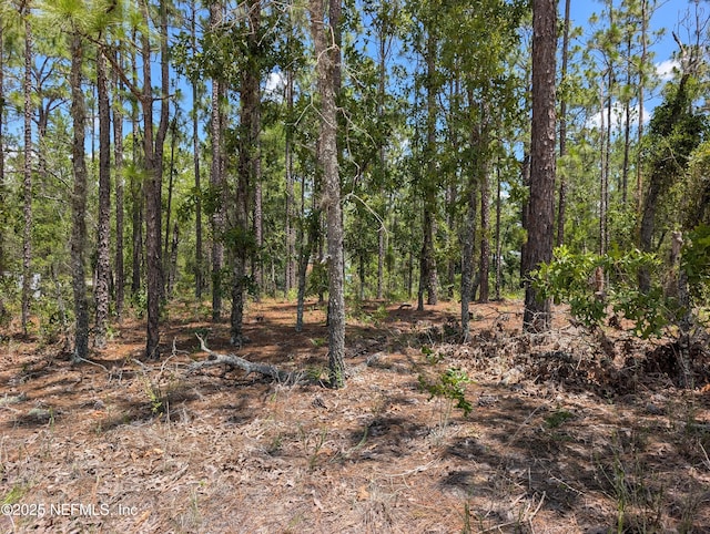 6218 Emory Ave, Keystone Heights, FL 32656 - photo 4