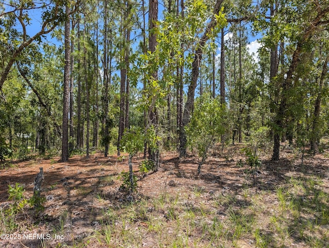 6218 Emory Ave, Keystone Heights, FL 32656 - photo 5