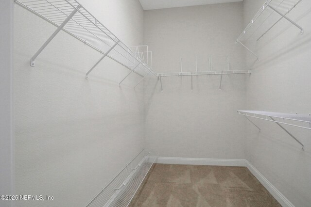 2711 Tartus Dr, Jacksonville, FL 32246 - photo 56