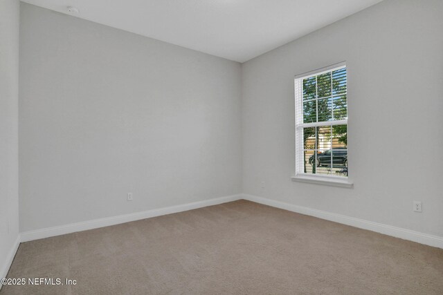 2711 Tartus Dr, Jacksonville, FL 32246 - photo 59