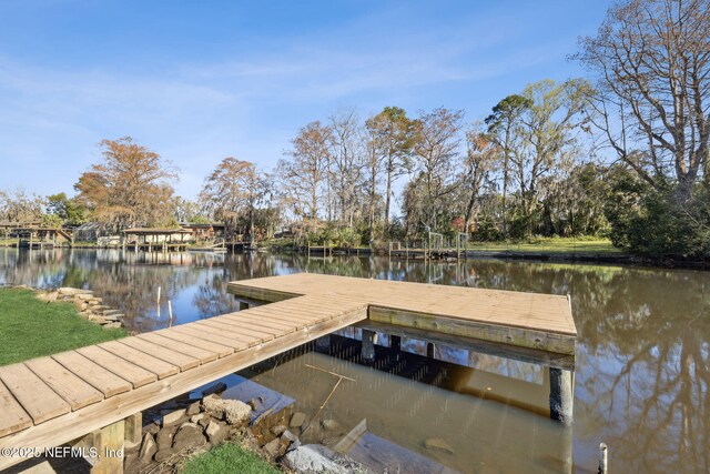 2454 Cedar Shores Cir, Jacksonville, FL 32210 - photo 47