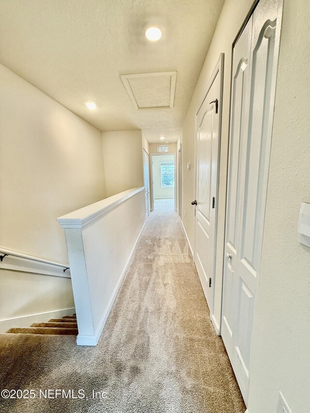 628 Yellow Oaks Ln, Orange Park, FL 32065 - photo 15
