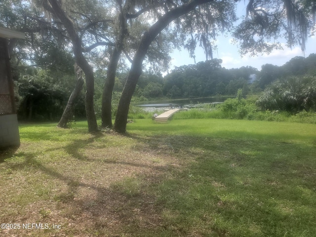 243 Taylor Fury Rd, Pomona Park, FL 32181 - photo 6
