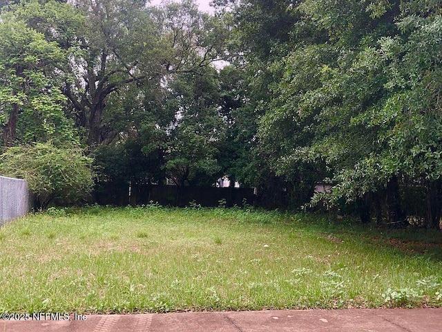 0 W 20th St, Jacksonville, FL 32209 - photo 1