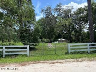 251 Taylor Fury Rd, Pomona Park, FL 32181