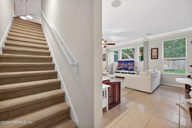 1888 Oakchime Dr, Orange Park, FL 32065 - photo 39
