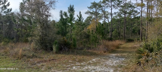 7527 W Golf Club St, Crystal River, FL 34429 - photo 4