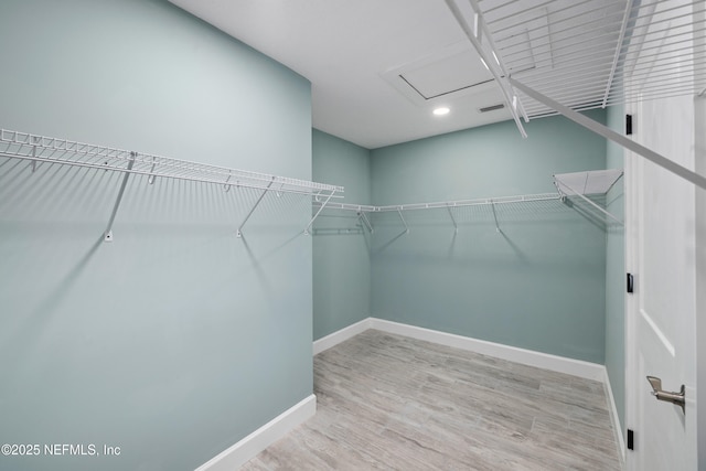 3064 Hickory Glen Dr, Jacksonville, FL 32065 - walk in closet featuring wood finished floors