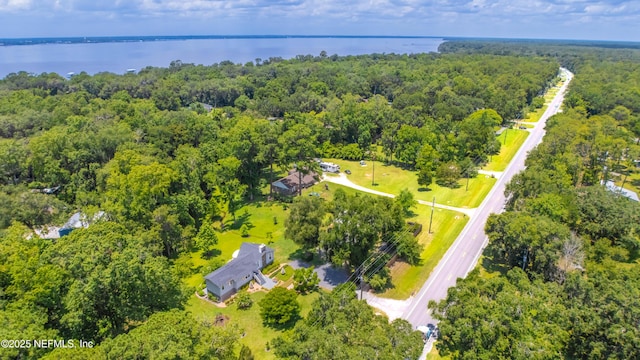 5265 State Rd 13 N, Saint Augustine, FL 32092 - bird's eye view of a nearby body of water and a heavily wooded area