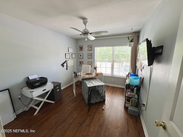 11110 Castlemain Cir S, Jacksonville, FL 32256 - office space with wood finished floors, a textured ceiling, and a ceiling fan