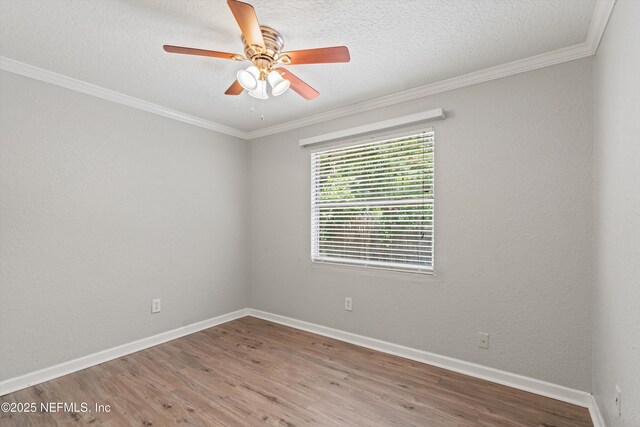 7503 Pheasant Run Dr, Jacksonville, FL 32244 - photo 17