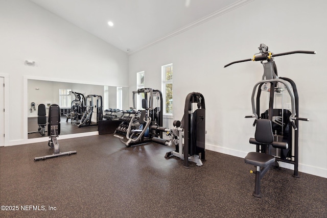 1382 Parkland Trl, Saint Augustine, FL 32095 - exercise room featuring high vaulted ceiling, crown molding, and baseboards