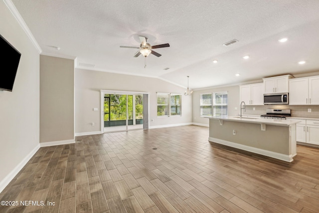 1382 Parkland Trl, Saint Augustine, FL 32095 - kitchen with appliances with stainless steel finishes, open floor plan, a sink, plenty of natural light, and lofted ceiling