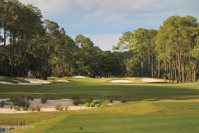 45 Lake Julia Dr S, Ponte Vedra Beach, FL 32082 - photo 34