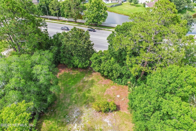 12618 Old St Augustine Rd, Jacksonville, FL 32258 - photo 11