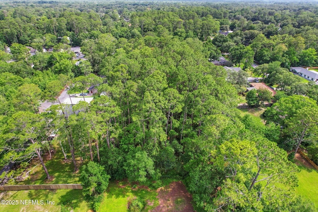 12618 Old St Augustine Rd, Jacksonville, FL 32258 - photo 13