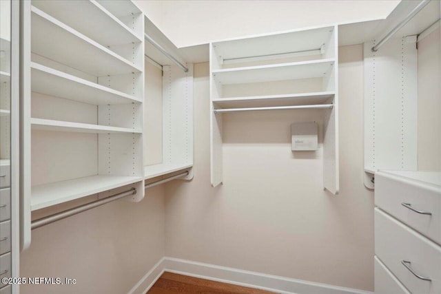 1327 Castle Pines Cir, Saint Augustine, FL 32092 - view of walk in closet