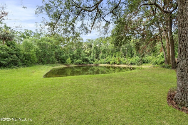 7687 Spring Branch Ct, Jacksonville, FL 32221 - photo 7