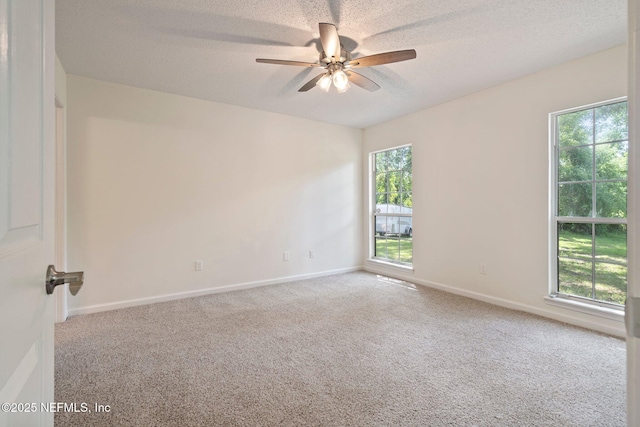 7687 Spring Branch Ct, Jacksonville, FL 32221 - photo 20