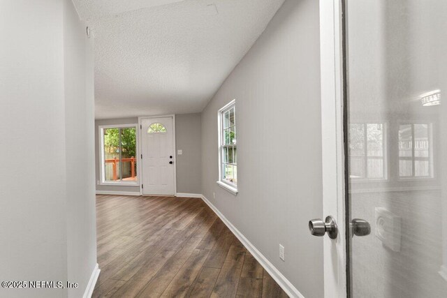 1032 Ingleside Ave, Jacksonville, FL 32205 - foyer entrance featuring dark wood-type flooring, healthy amount of natural light, and a textured ceiling