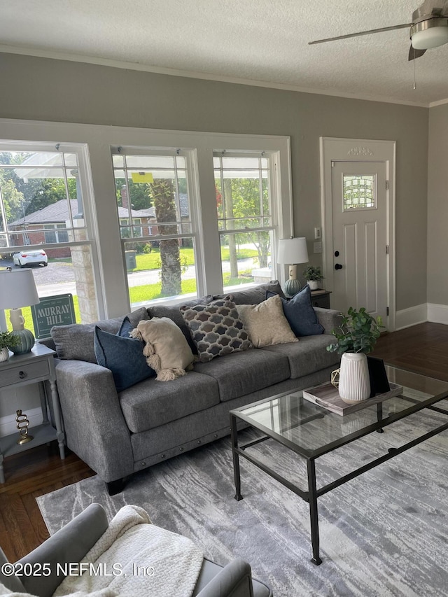 1032 Ingleside Ave, Jacksonville, FL 32205 - living room with ornamental molding, healthy amount of natural light, wood finished floors, a textured ceiling, and a ceiling fan