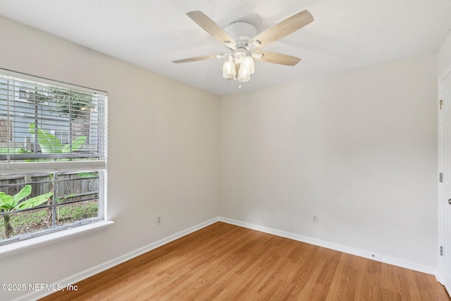 2002 Knottingham Trace Ln, Jacksonville, FL 32246 - empty room featuring plenty of natural light, light wood-style floors, and a ceiling fan