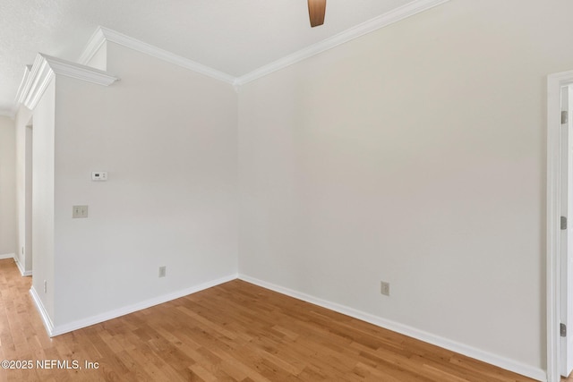 2002 Knottingham Trace Ln, Jacksonville, FL 32246 - unfurnished room featuring light wood-style flooring, ceiling fan, and ornamental molding