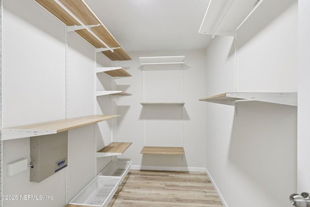 2002 Knottingham Trace Ln, Jacksonville, FL 32246 - spacious closet featuring light wood finished floors