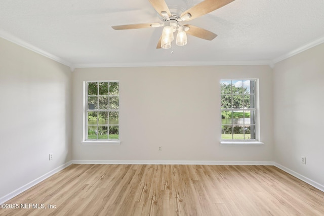 2002 Knottingham Trace Ln, Jacksonville, FL 32246 - empty room with crown molding, healthy amount of natural light, light wood-style floors, and a ceiling fan