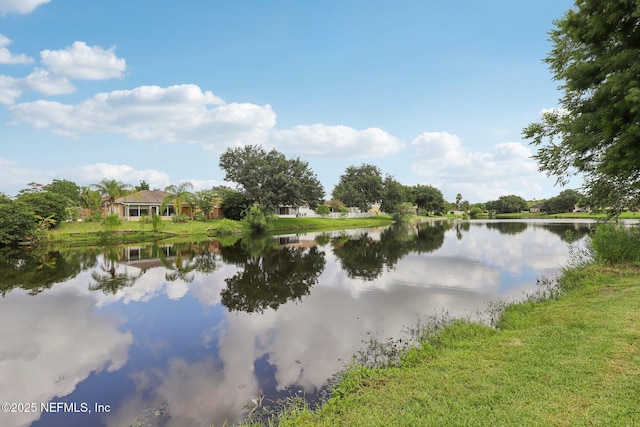 2002 Knottingham Trace Ln, Jacksonville, FL 32246 - water view