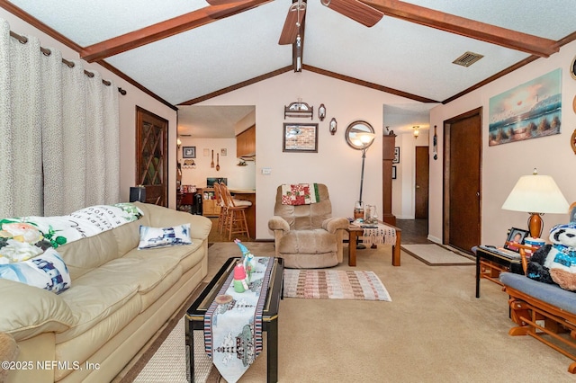 539 William Penn St, Orange Park, FL 32073 - photo 10