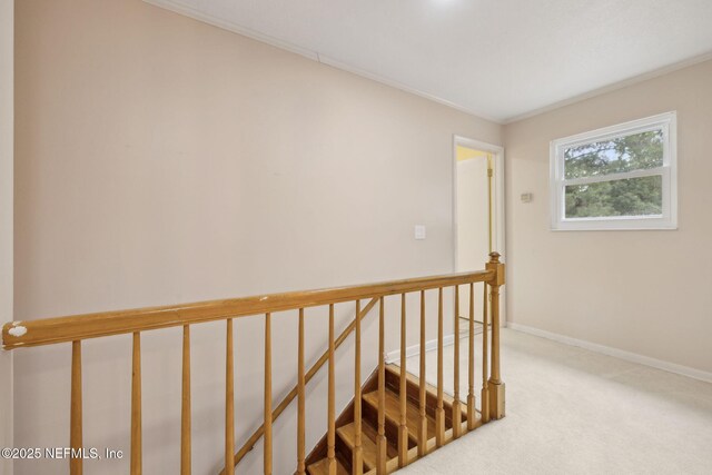 8824 Runnymeade Rd, Jacksonville, FL 32257 - photo 25