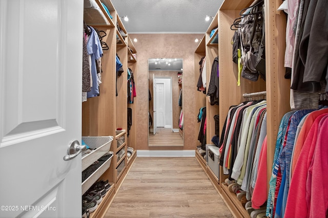 2148 S Sorrento Hills Rd, Saint Augustine, FL 32092 - spacious closet with light wood finished floors