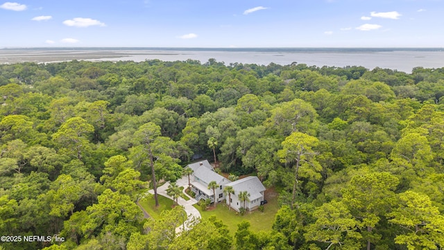 1381 Forrest Dr, Fernandina Beach, FL 32034 - view from above of property with a forest and a large body of water