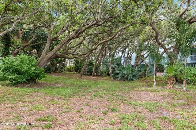 3145 Coastal Hwy Unit 1162, Saint Augustine, FL 32084 - view of yard
