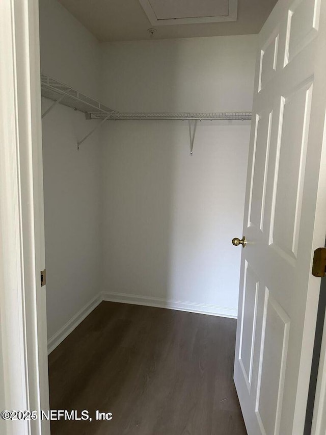 9625 Amarante Way Unit 12, Jacksonville, FL 32257 - spacious closet with dark wood-style flooring