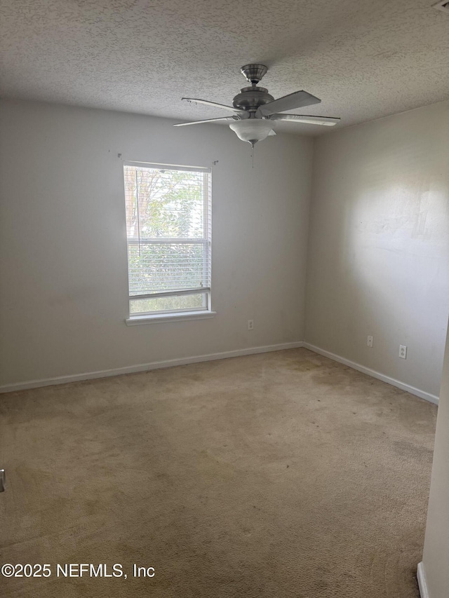 12345 Bristol Creek Dr, Jacksonville, FL 32218 - photo 8