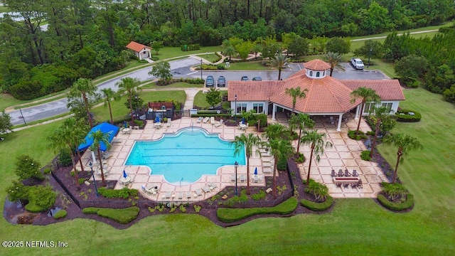 46 Gabacho Ct, Saint Augustine, FL 32095 - drone / aerial view of a pool and a heavily wooded area
