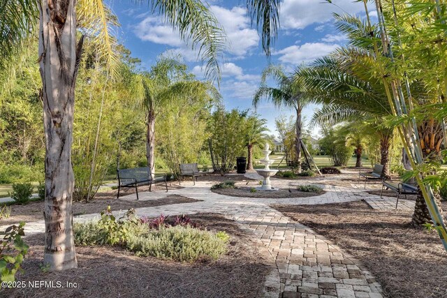 46 Gabacho Ct, Saint Augustine, FL 32095 - view of community with a patio