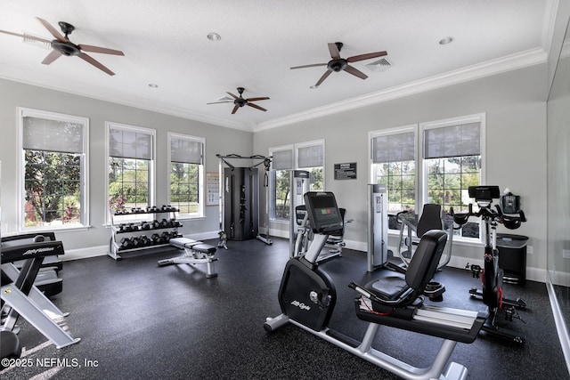 46 Gabacho Ct, Saint Augustine, FL 32095 - gym featuring crown molding and ceiling fan