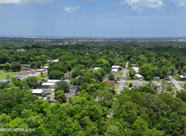 863 W 5th St, Saint Augustine, FL 32084 - bird's eye view of a heavily wooded area