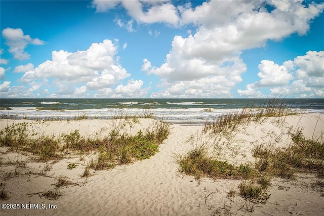 283 Sandcastles Ct, Fernandina Beach, FL 32034 - photo 31