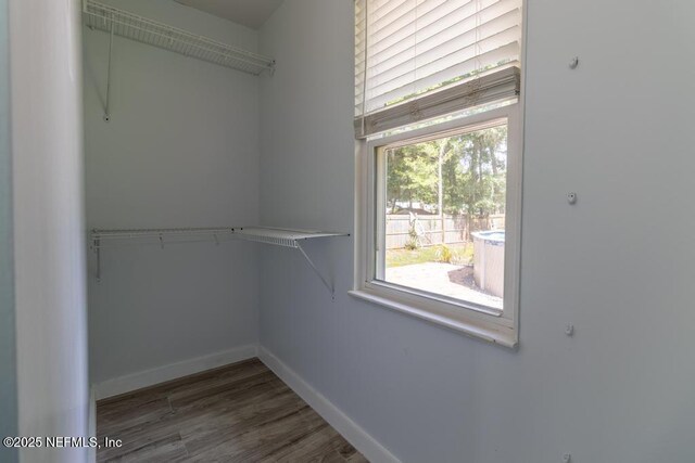 1514 Thomas St, Green Cove Springs, FL 32043 - walk in closet with wood finished floors