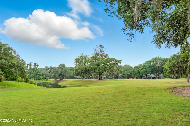 13850 Windsor Crown Ct E, Jacksonville, FL 32225 - photo 3