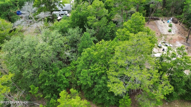 127 E Dr, Florahome, FL 32140 - photo 1