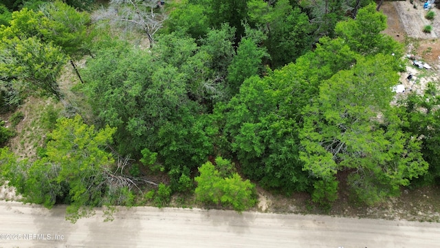 127 E Dr, Florahome, FL 32140 - photo 2