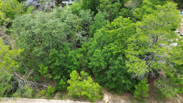 127 E Dr, Florahome, FL 32140 - photo 4