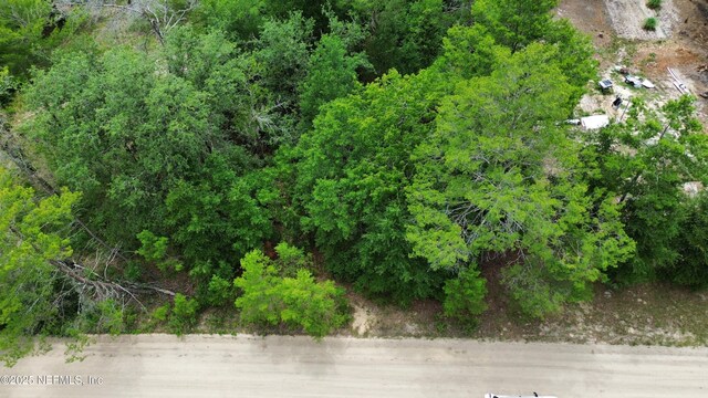 127 E Dr, Florahome, FL 32140 - photo 6